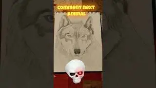 wolf drawing #edit #drawing #wolf