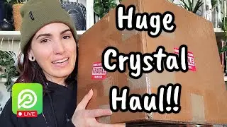 HUGE CRYSTAL HAUL!! 🩷✨️ Plant Story's Not Just For Plants!! 🌿 Apartment Botanist Unboxing