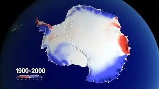 Snow over Antarctica Buffered Sea Level Rise during Last Century