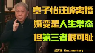 离婚是人生常态？章子怡汪峰离婚，婚变很正常，但第三者很可恨！#圆桌派 #许子东 #马家辉 #梁文道 #锵锵行天下 #观复嘟嘟 #马未都