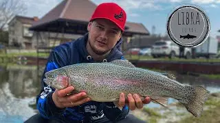 SF Trout Area ! łowimy pstrągi na gumy ! 60+ !