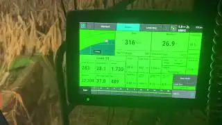 300 bushel Corn field.