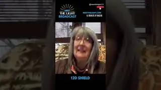 12D Shield #frandangelo #meetthelight #earthsvirtualholisticcenter #visionary