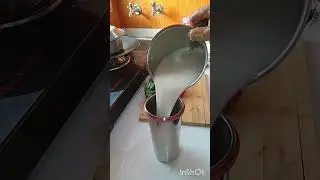#chaach#buttermilk#shorts#food