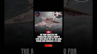 🚨 🔨 Man Arrested for Vandalizing Trump&rsquo;s Star BAILED OUT by 2016 Vandal #trump #shorts