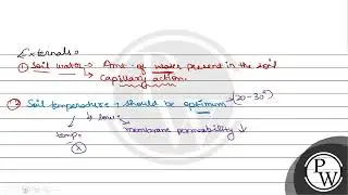 Describe the factors which affect the rate of absorption of water.