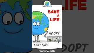 Adopt, Don't Shop