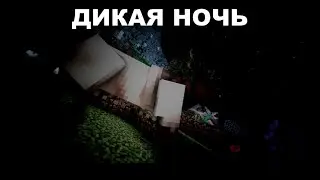 Дикая Ночь l Сюжетный Тизер 2022 2/3 l MysticalStory