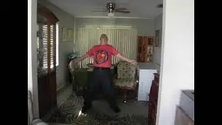 1 Home Alone 2  Lost in New York Kevin Throw Brick