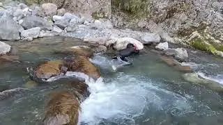 #Howtocatchtroutfishwithhandtechniques#Youngtalentedboystyingtocatchatroutfish 🐠🐟🐟 with hands#viral#