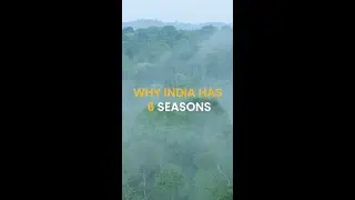 Nature&rsquo;s Calendar, Not Just Dates