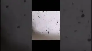 Airship crash!...😱