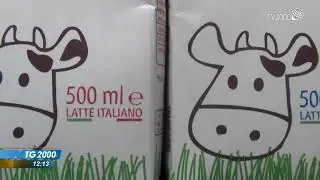Sale il prezzo del latte. Rischio Parmigiano Reggiano