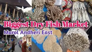 Saturday Weekly Market | Dry Fish Market at Andheri Mumbai | wholesale and retail Fish| Vedika Vlog😻