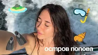 Владивосток. о. Попова. Тихий вложек 