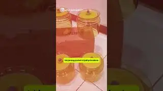 33 Th Jadi Kesayangan Emak Emas Se Indonesia, Inilah Alasan Tupperware Resmi Pamitan Dari Indonesia
