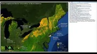 The Ecology and Management of Asian Long-Horned Beetle in Rural Woodlands