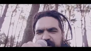 Coral - Thrash & Roll