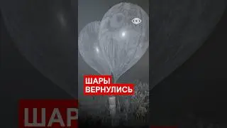 Контрабандные шары снова над Литвой