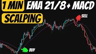 1-минутная стратегия скальпинга с EMA 8/21 + MACD | 90% точные сигналы входа и выхода