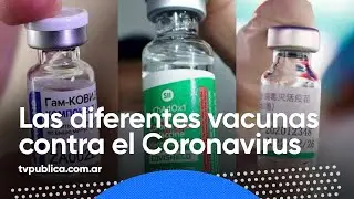 ¿Qué diferencias hay entre las vacunas Sputnik V, Covidshield y Sinopharm? - Quédate en Casa Salud