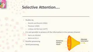 Selective Attention | Factors of Selective attention | in English language | by Dear Knowledge