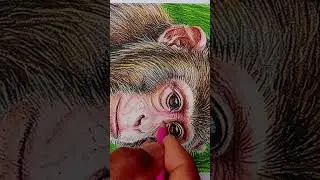 Draw monkey with colour pencils 🙈 #drawwithpencil  #drawingtutorial #viraldrawingshorts