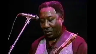 Muddy Waters : C W  Post College, Greenvale, NY  1977