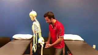 Pourquoi NE pas s'&Eacute;tirer les Ischio-Jambiers?