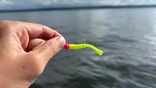 The Best Multi-species Lure~ The Mini Mite Jig