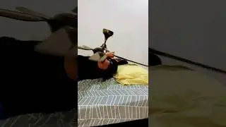 DREAM ATTACK LOL #ceilingfan #interiordesign #funny  #shorts