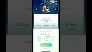 Maxing Giratina to level 50 for #masterleague #gobattleleague #pokemongo 98% i.v #pokemon