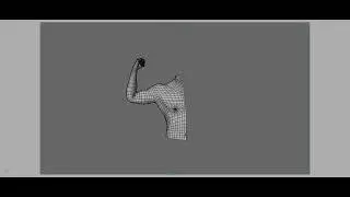 Muscle Skin Deformation