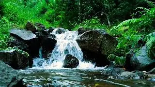 Calming Natural Water Flow