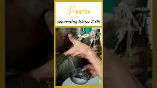 The making of essential oil(attar)