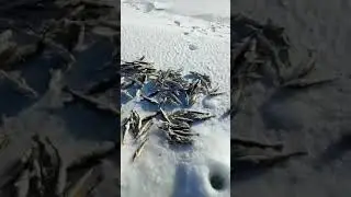 Winter fishing on ice, super fishing
