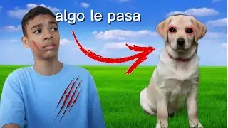 Mi perro es un skinwalker/reacci&oacute;n 
