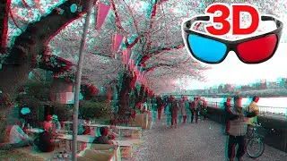 Анаглифическое 3D-видео - Просмотр цветущей сакуры в реке Сумида / красно-голубые очки