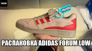 Обзор Adidas forum Low - дешёвые и классические кроссовки