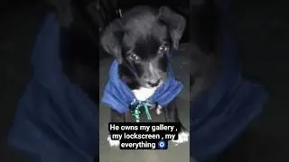 He owns my gallery my lockscreen my heart ❤️🧿🫶🏻#shadow #ytshorts #trending #goviralshorts #viral