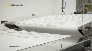 Primary Packaging Automation | Cybernetik Chocolate Automation