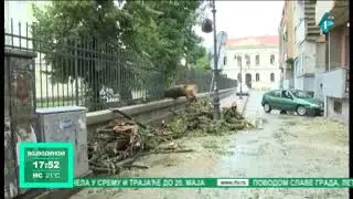 Nevreme u Vršcu srušilo više stabala