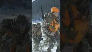 Steven Rinella Hunts a Bull Elk #hunting