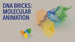 DNA Bricks: Molecular Animation