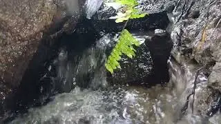 Fast Flowing Water Sounds – Powerful Stream for Deep Mind Relaxation