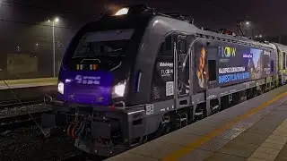 NEWAG GRIFFIN EU200-004 ⚫🔵 