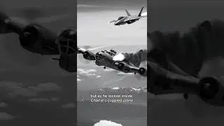 The Pilot Who Spared His Enemy &ndash; True WWII Story  #history #ww2