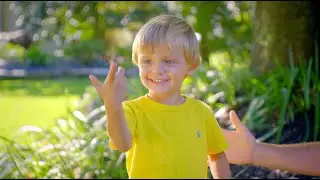 Watch the Butterfly Life Cycle with Insect Lore's Kids Butterfly Kits