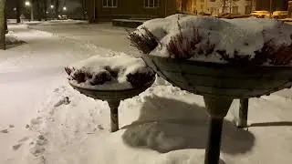 С Новым годом! feliz Año Nuevo