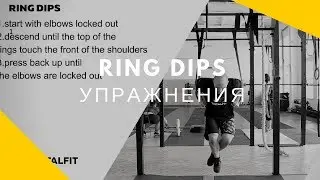 RING DIPS | TotalFit